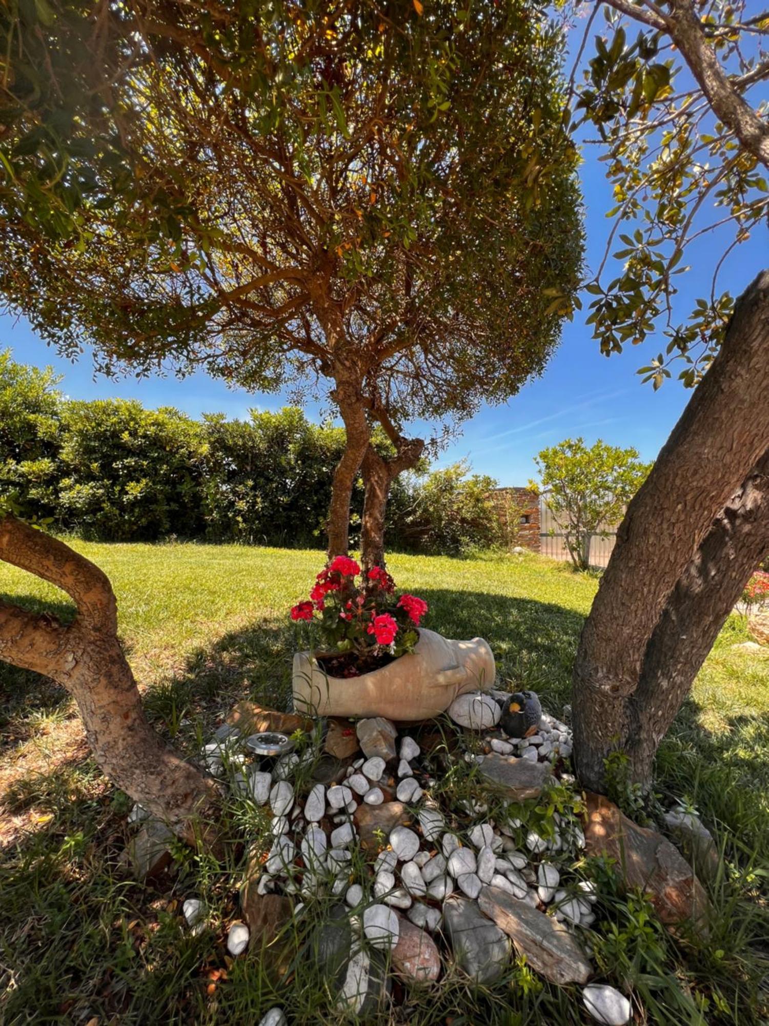 Villa Patrizia Stintino Buitenkant foto